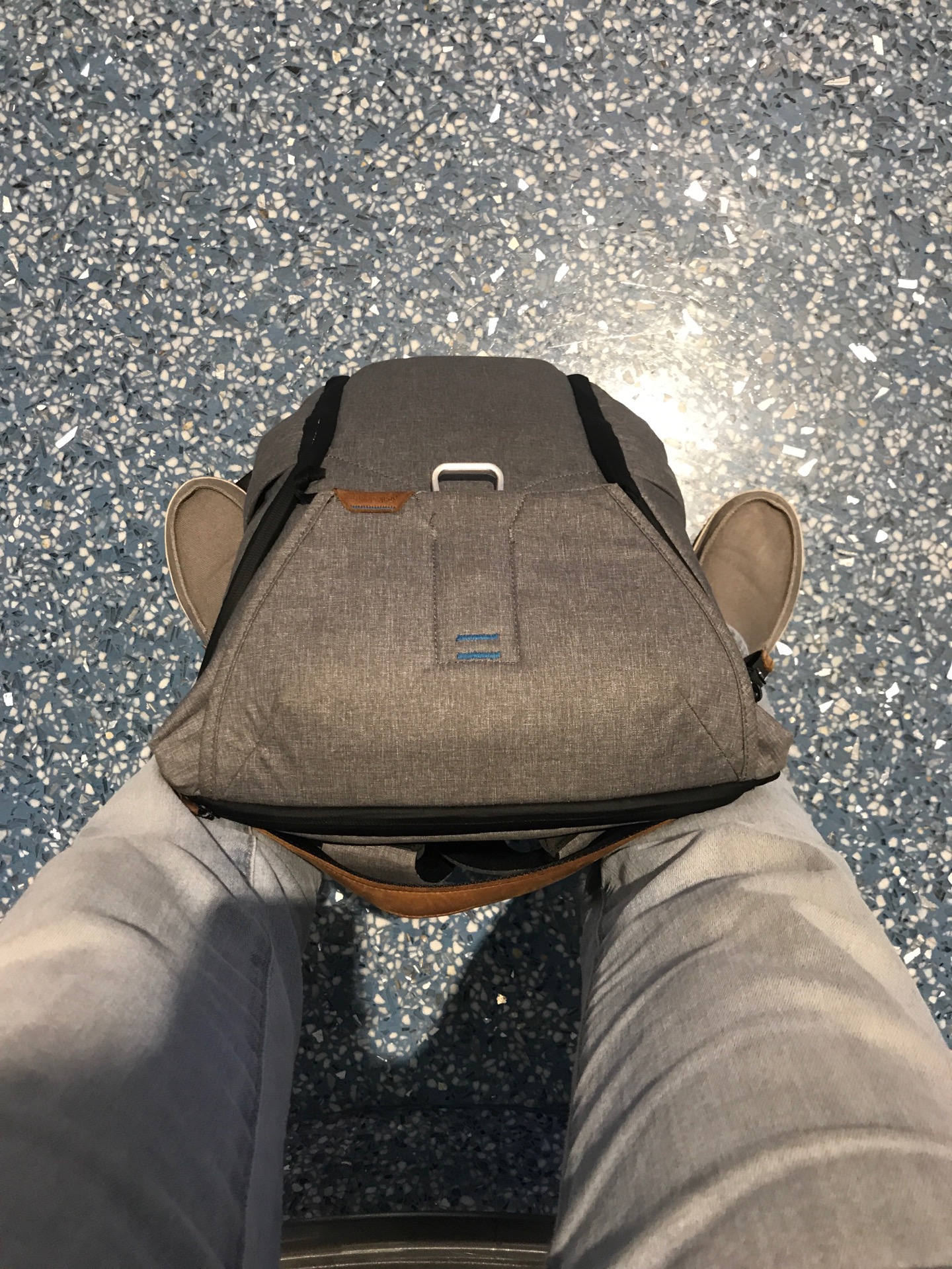 McCarran International Airport (LAS)