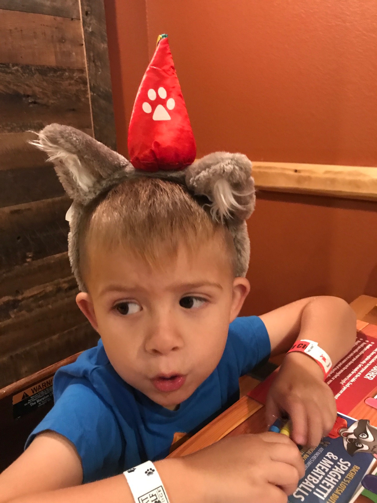 Lodge Wood Fired Grill