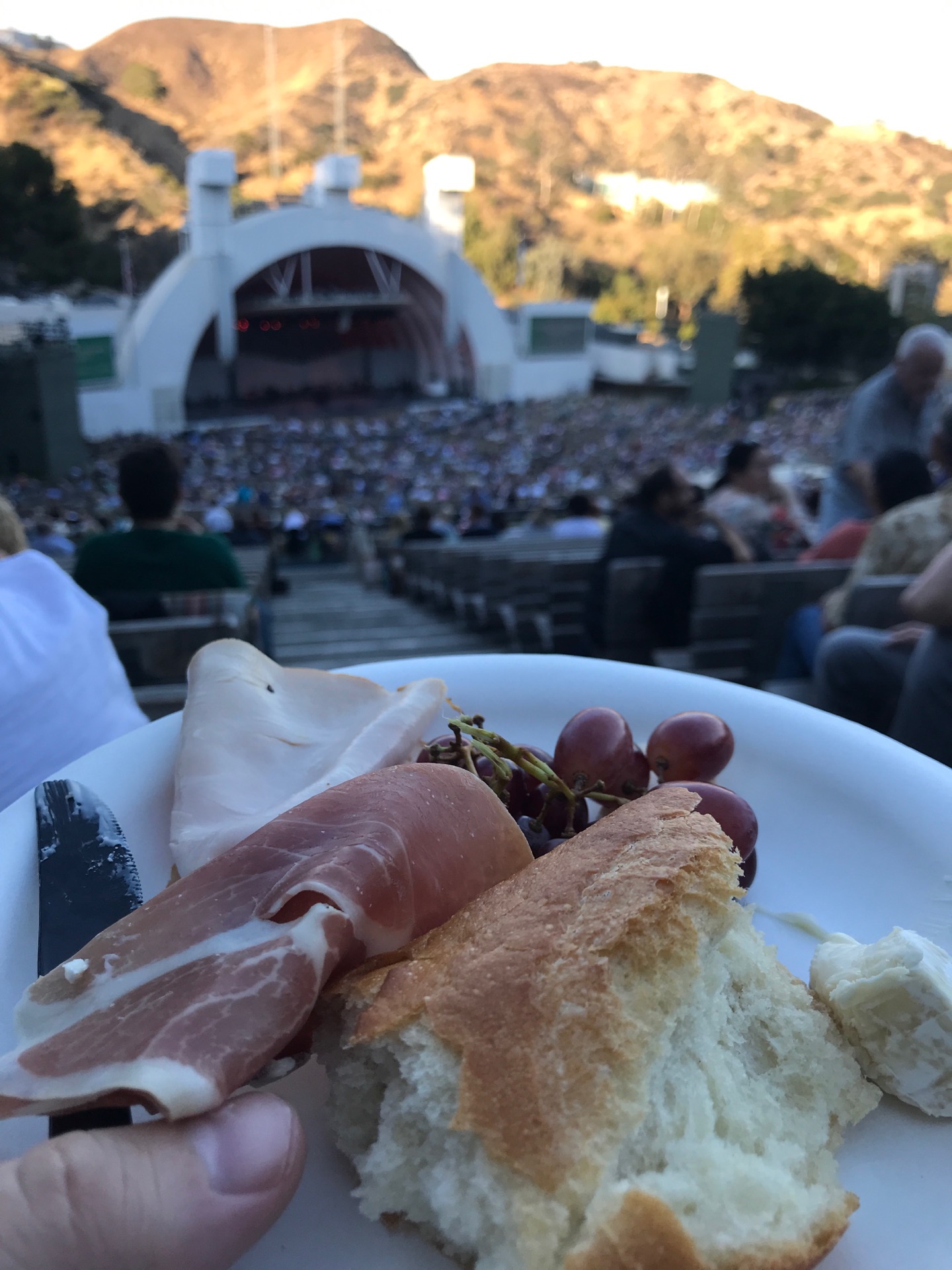 The Hollywood Bowl